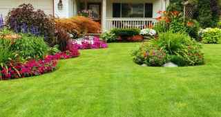 Well Established Lawn Company - Growth Potential!