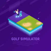 Custom Sports Simulation - Design and Installation