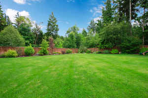 500-lawn-spring-and-seeding-accounts-for-sale-raleigh-north-carolina