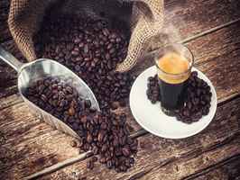 Fast Growing Coffee Roasting Company