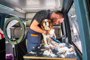 Absentee Ran Mobile Dog Grooming Franchise ReSale