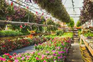 Garden Center and Commercial Landscape Contractor