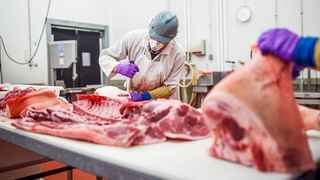 Specialty Meat Processor – Central Michigan