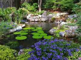 Landscaping/Water Garden Retail Business