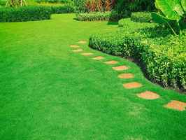Commercial Lawn and Landscape Company