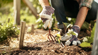 Landscape Contractors for Commercial & Residential