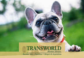 Established Dog Training and Enrichment Boarding