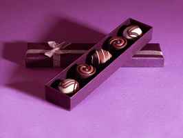 chocolate-manufacturing-wholesale-and-retail-biz-colorado