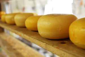 Wisconsin Specialty Cheese Company