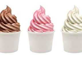 frozen-yogurt-bar-great-e2-visa-opportunity-ocoee-florida