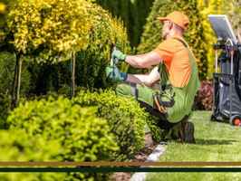Successful High-End Creative Landscaping Business