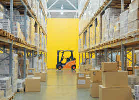 Wholesale Distribution Supply to Walmart/Amazon