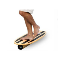 Manufacturer of Surfing Balance Boards