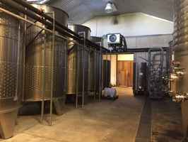 Profitable Winery/Vineyard on the Texas Wine Trail
