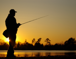 Profitable Wholesale Fishing Tackle Supplier SOLD