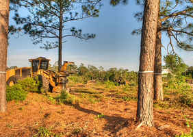 Land Clearing and Logging Company