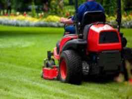 Thriving Lawn Maintenance & Landscaping