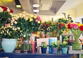 Profitable Florist Shop - Order, Pick-up & Deli...