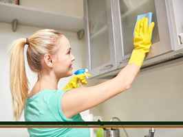 Profitable Cleaning Franchise of 30 Years