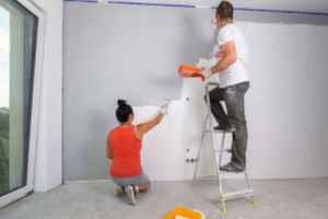 Painting Biz in Southern MN with Large Client Base
