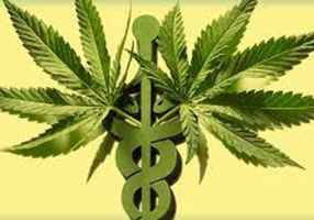 medical-marijuana-doctors-office-300k-cash-f-sarasota-florida