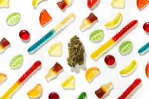 edible-cannabis-manufacturing-company-washington
