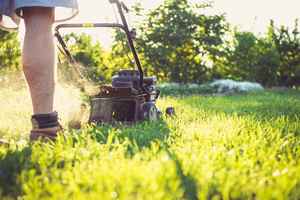 Highly-Rated and Profitable Lawn Maintenance Biz