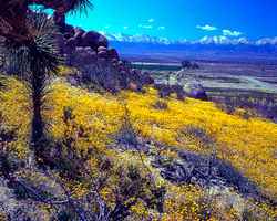 Antelope Valley CA Chiropractic Practice for Sale