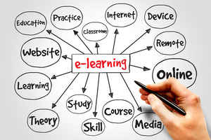 Niche Web Management and E-Learning Company