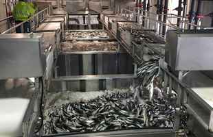 Seafood Processing Facility