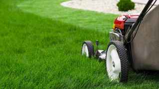 landscaping-business-for-sale-kissimmee-florida