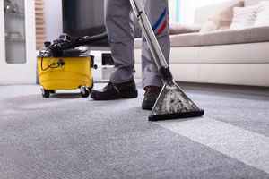 Carpet Cleaning and More-Price Reduced