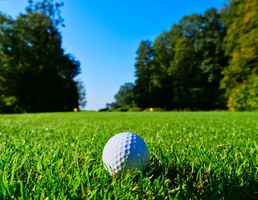 Profitable Indoor Golf Facility for Sale
