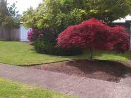 Thriving Landscaping Business for Sale