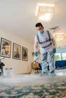 Well Established Carpet Cleaning Business