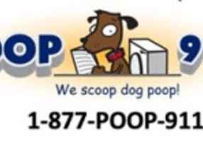 Dog Poop Business