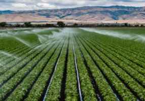 Very Profitable Irrigation Supply with Real Est...