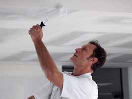Painting Franchise in Affluent South Suburban Area